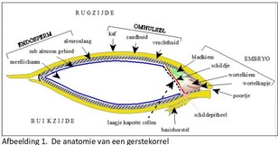 202205_Vermouten_1