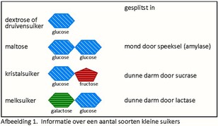 202204_Lactose