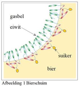 202110_bierschuim_1