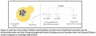 202310_Tropische_smaken_4